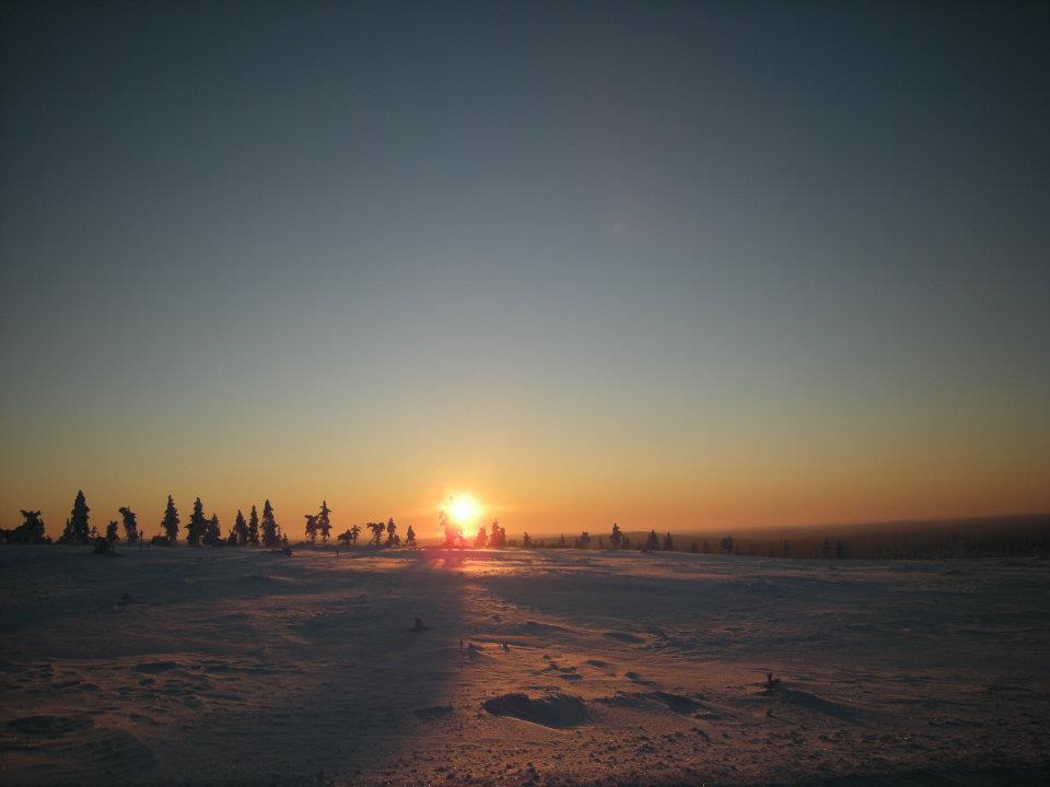 Auroracabin Chalets Saariselkä Exterior foto
