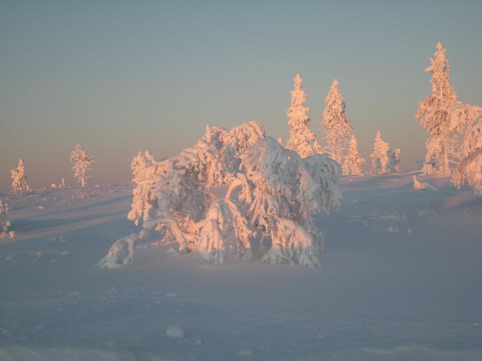 Auroracabin Chalets Villa Saariselkä Exterior foto