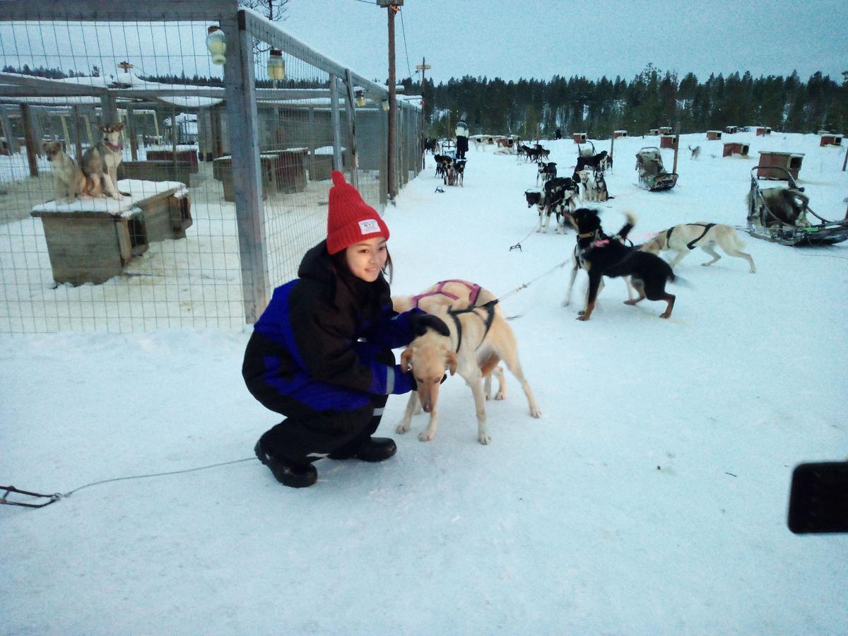 Auroracabin Chalets Saariselkä Exterior foto