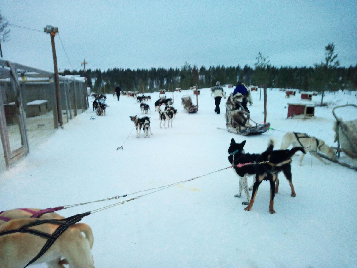 Auroracabin Chalets Villa Saariselkä Exterior foto